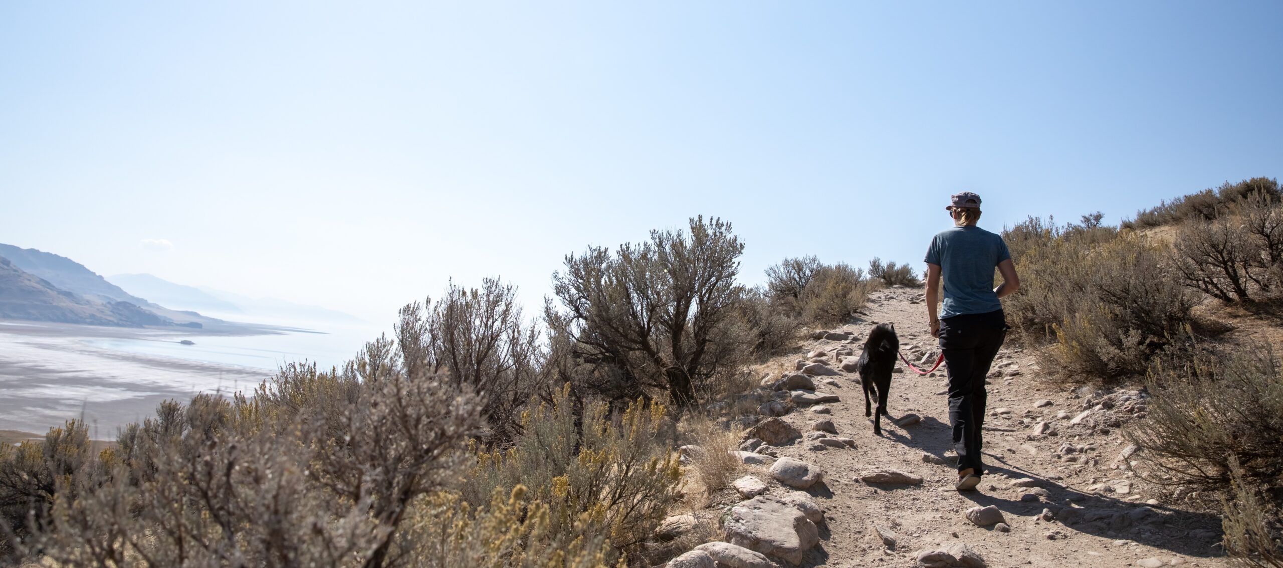 Woman hiking with a dog